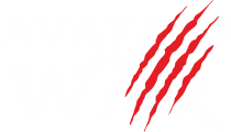 Avatars of War